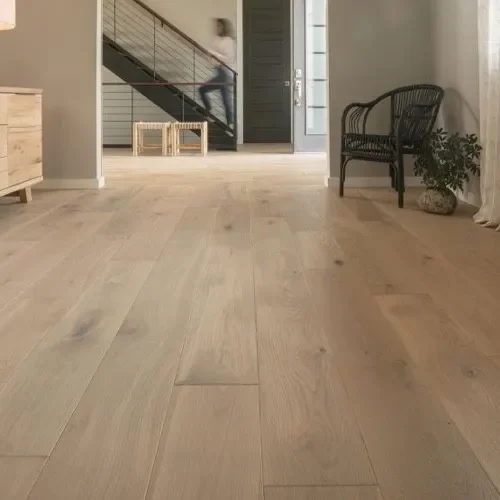 4 entryway | Great Lakes Carpet & Tile